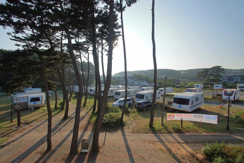 블루오션리조트, 오션파크 시설 사진 11