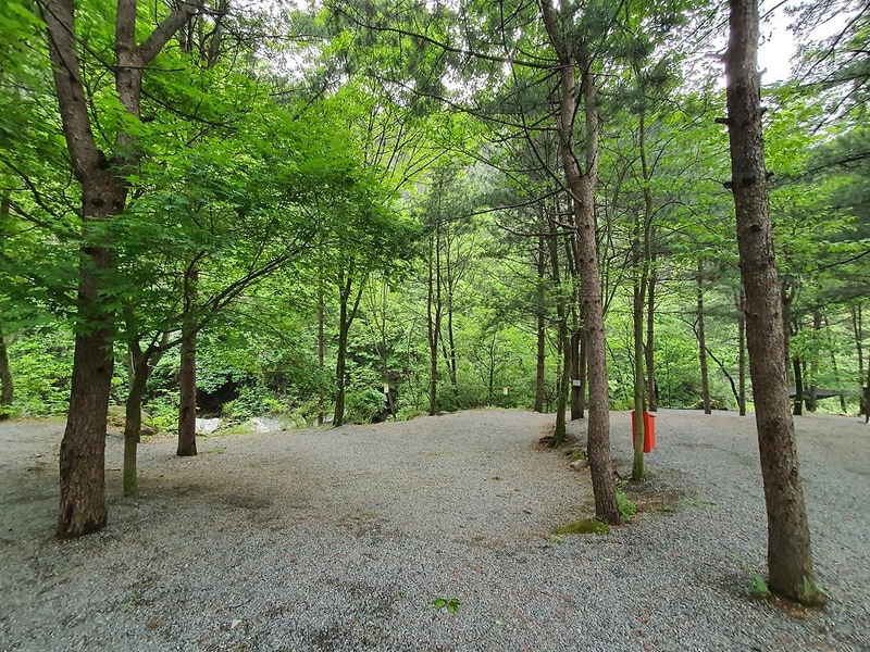 단양 천동계곡 캠핑장 그린농원 시설 사진 38