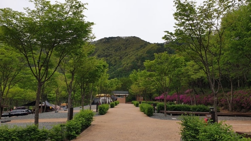 단양 천동오토캠핑장 A물놀이장 / B산속 / C족구장 땡볕