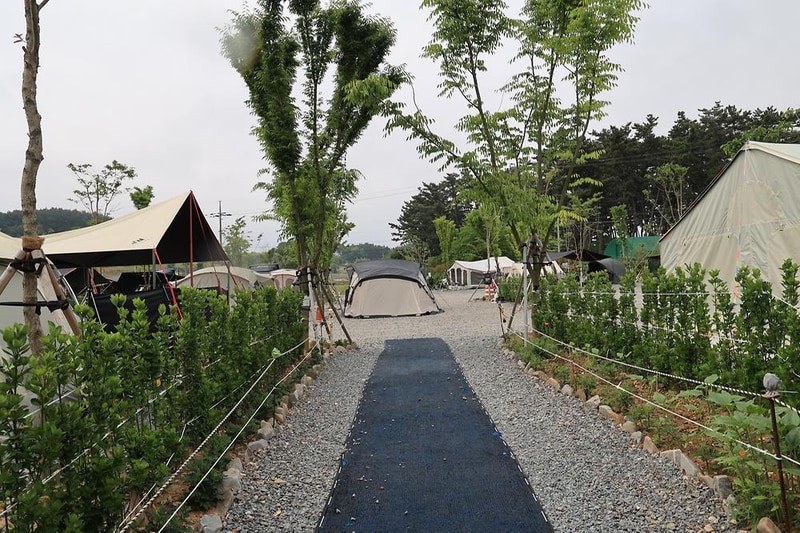도담2캠핑장 시설 사진 5