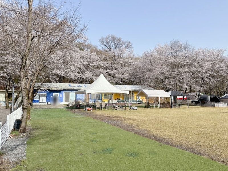 아산 애견동반 강아지 캠핑 강아지운동장 넓은 라포레캠핑장