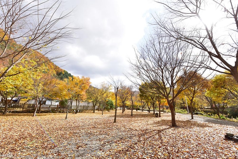 개울가오토캠핑장 시설 사진 17