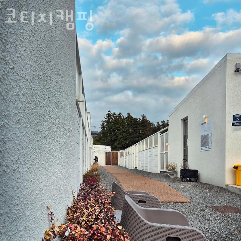 추천 제주도 글램핑 / 코티지캠핑  여기서 쉬어보세요