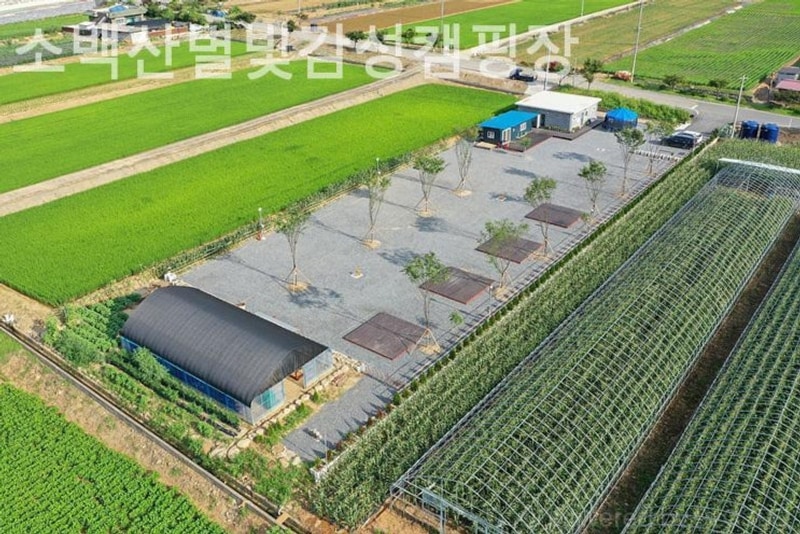 단양캠핑장 소백산별빛감성캠핑장 힐링여행추천