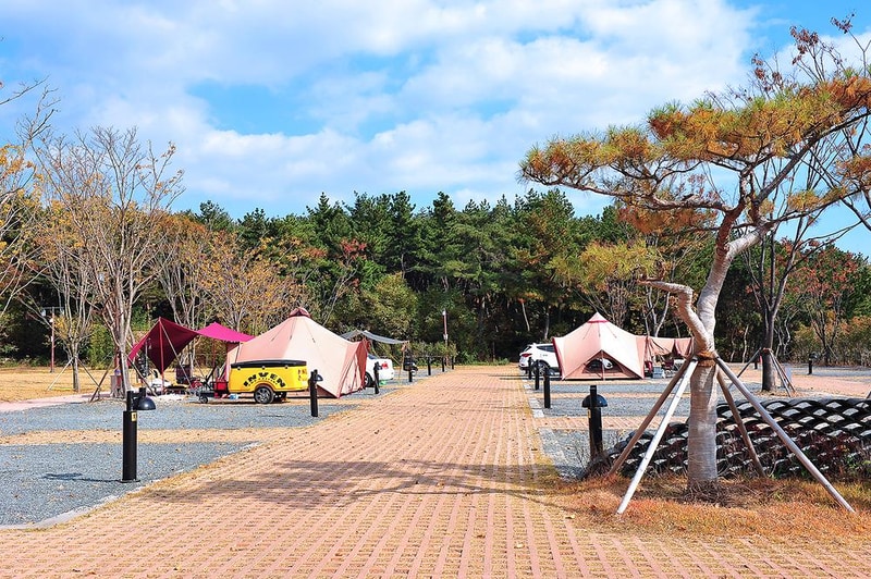 황방산생태야영장 시설 사진 13