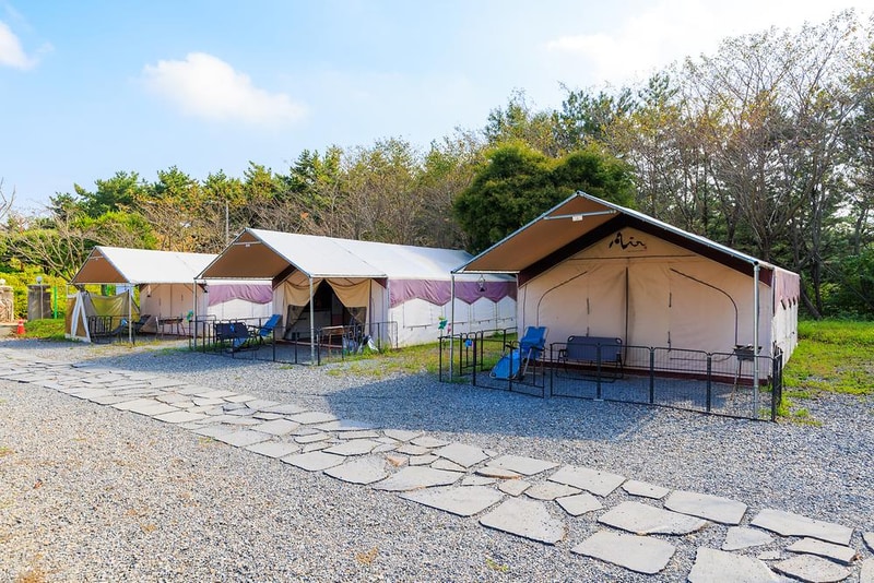 펫앤트리 시설 사진 18