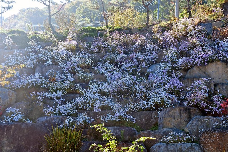 로하스캠핑 시설 사진 1