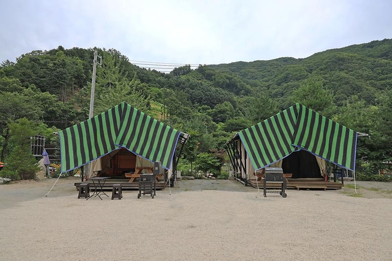 산책 시설 사진 12