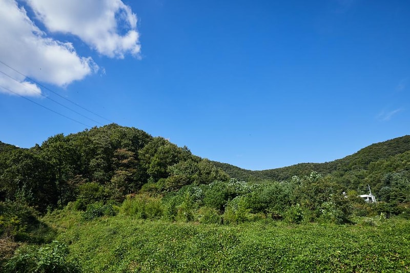 용인 룰루랄라 캠핑장 시설 사진 15