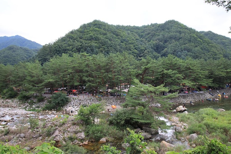 내리계곡 솔밭캠핑장 시설 사진 1