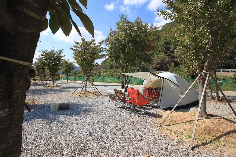 속리산알프스캠핑장&펜션 시설 사진 10