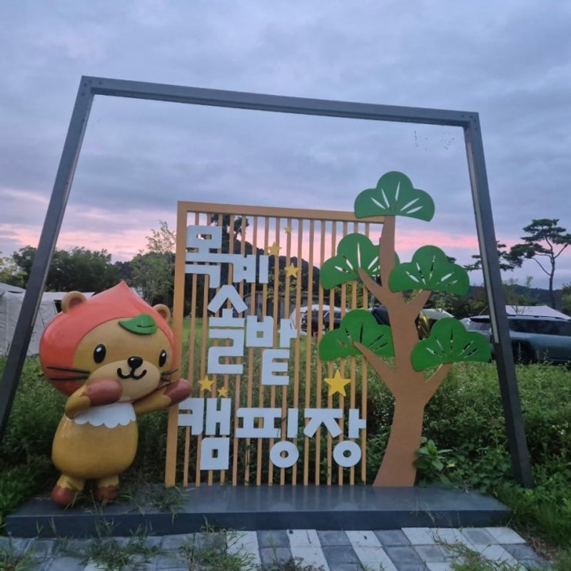 충주 목계솔밭캠핑장 가을캠핑