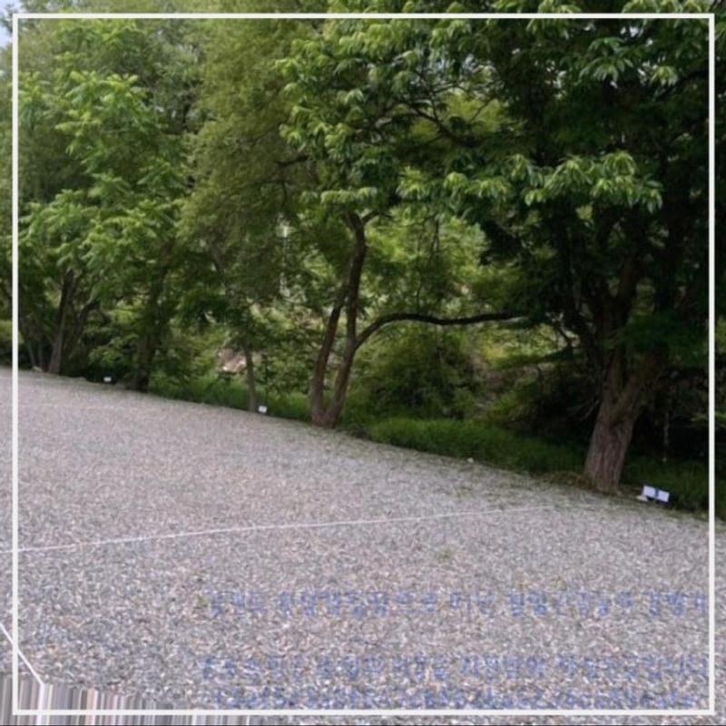 강원도 횡성캠핑장으로 떠난 청일관광농원 경험기