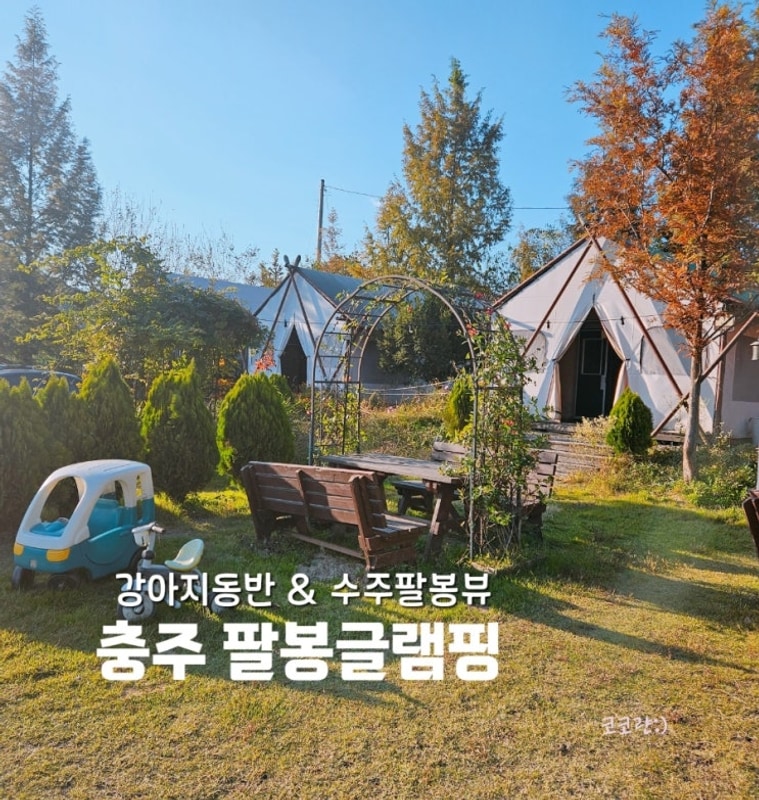 충주 팔봉글램핑장 명당 추천 강아지 동반 내돈내산 이용후기