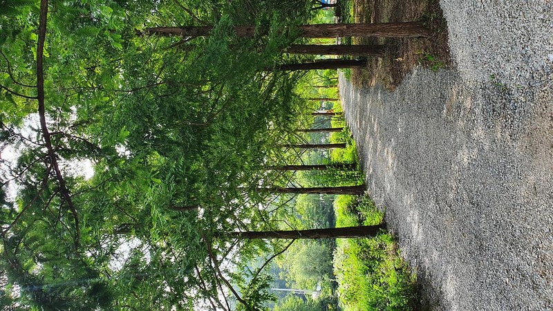 금산 자연 오토캠핑장 시설 사진 29