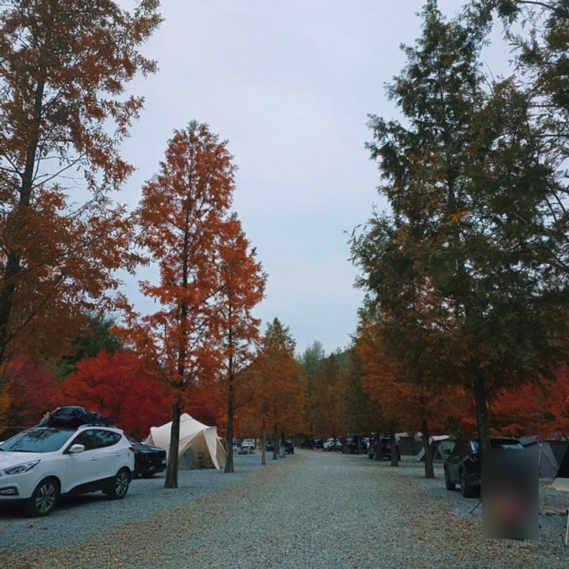 캠핑장 추천] 3번째 방문한 가을캠핑 추천 - 문경 리우캠핑장 -
