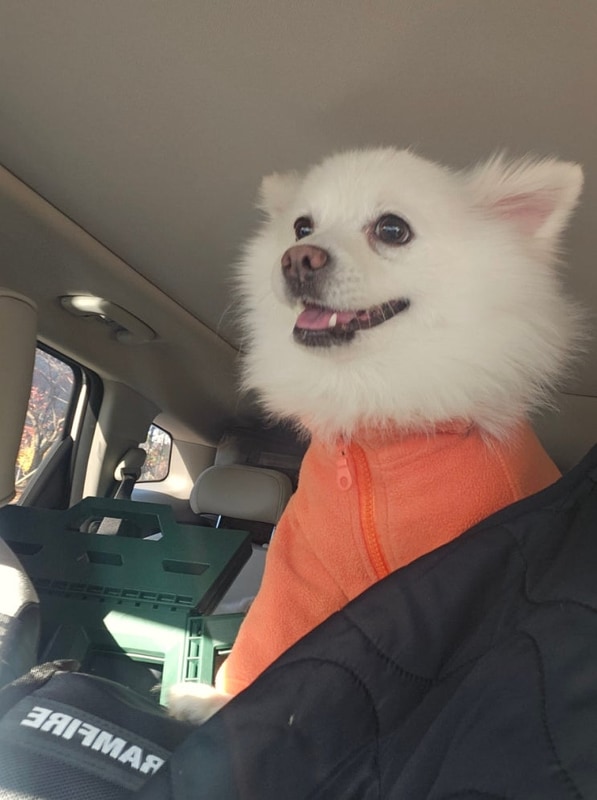 네 번째 캠핑 가평 캠프봉봉