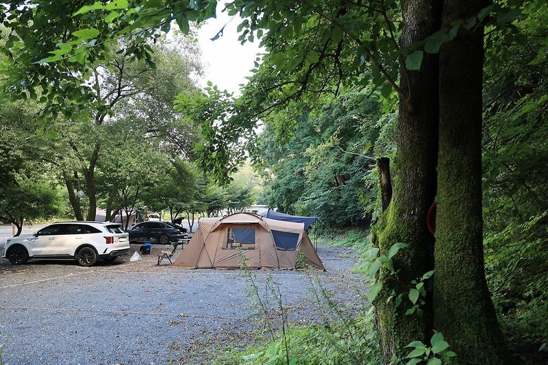 담터 금학캠핑장 시설 사진 11