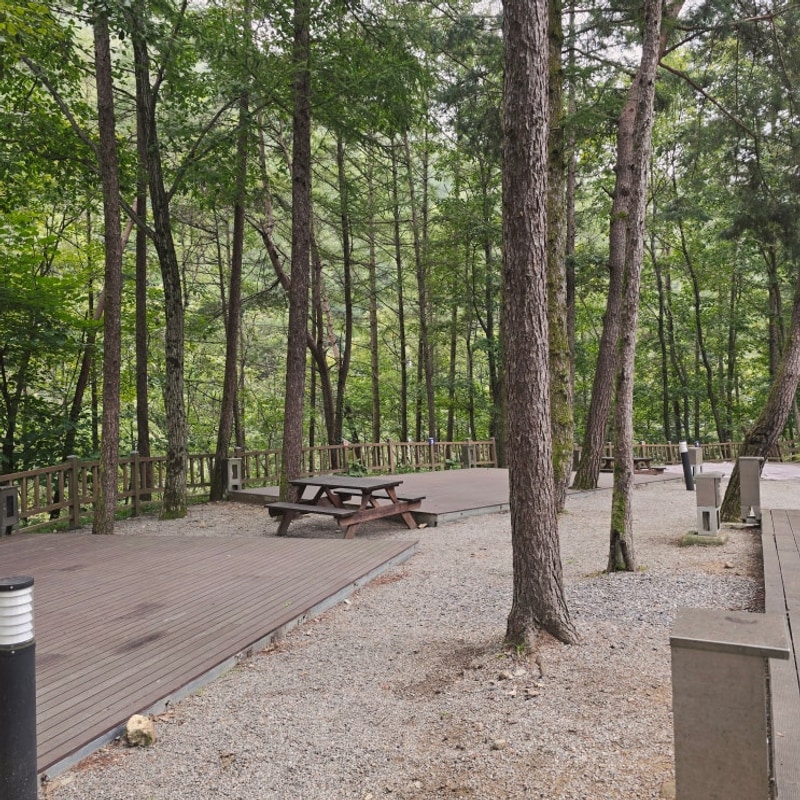 [쑤블로그]_강원도캠핑 / 화천 만산동국민여가캠핑장 후기!...