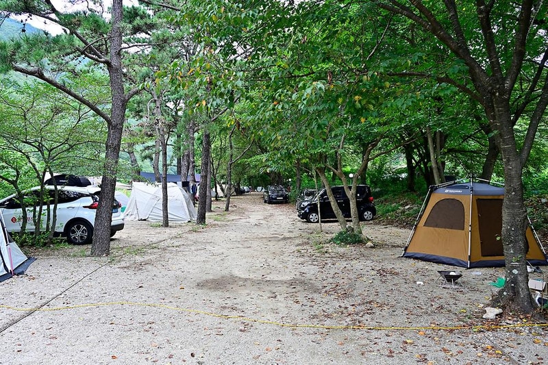 라라캠핑장 시설 사진 15