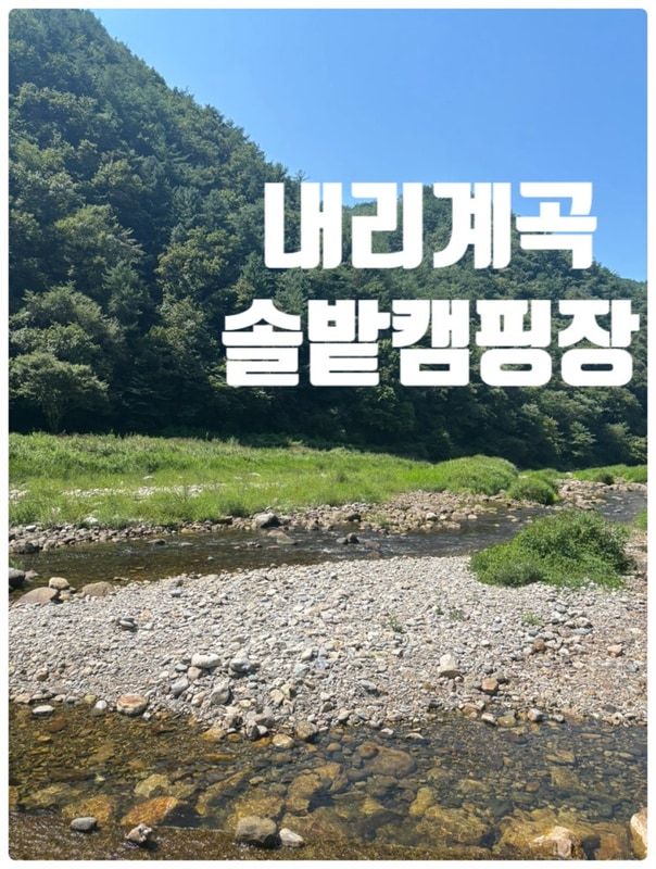 [영월] #1 캠핑일지 / 강원도... 앞 캠핑장 '내리계곡솔밭캠핑장'