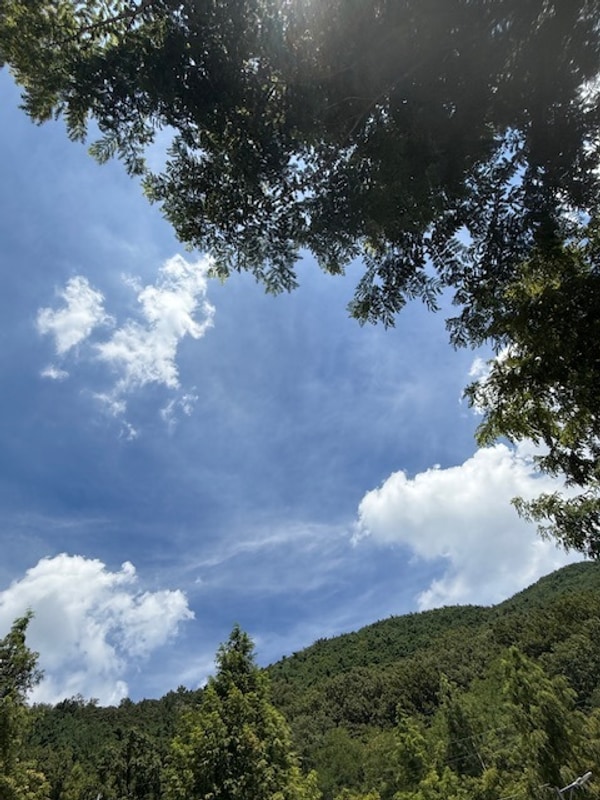 [대구/캠핑] 수성구 진밭골 야영장(광복절 캠핑)