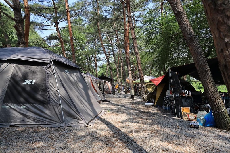 내리계곡 솔바람 캠핑장 시설 사진 27