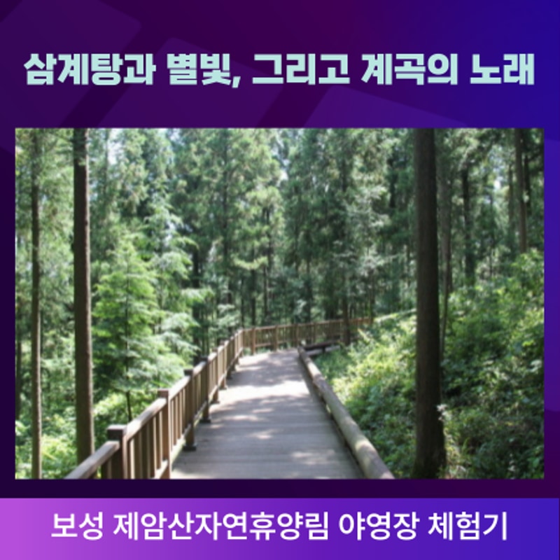 별빛, 그리고 계곡의 노래, 보성 제암산자연휴양림 야영장 체험기