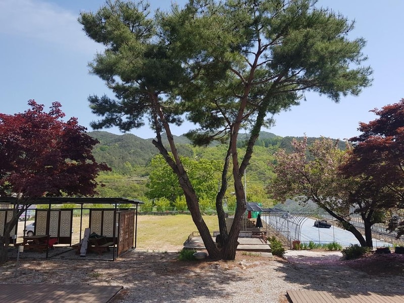 양지마을야영장 시설 사진 7