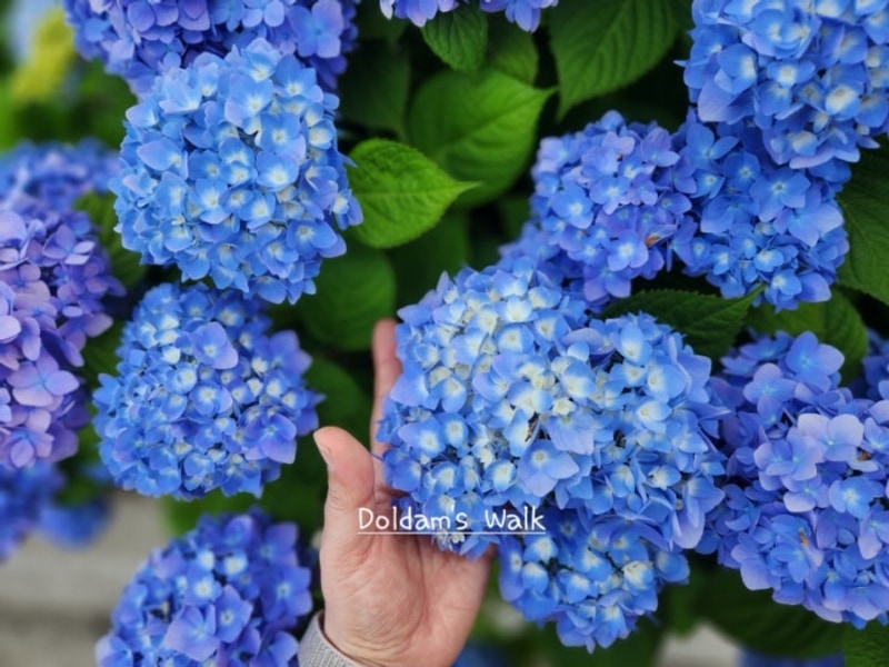 진주월아산자연휴양림 야영장 休'힐링캠핑...