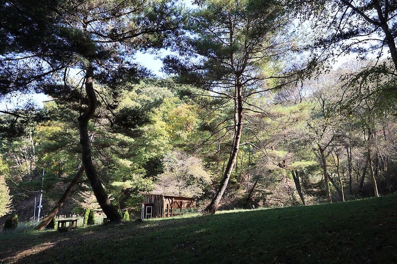 숲속행성 시설 사진 19