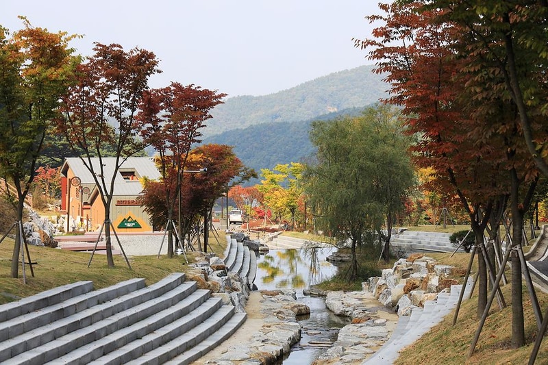 서운산 자연휴양림 자동차야영장 시설 사진 12