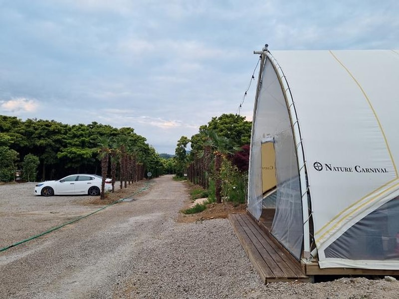 땡땡이글램핑 대표 사진