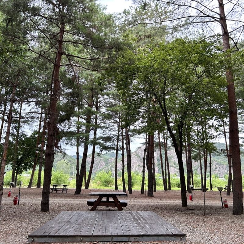 삼척 병풍바위야영장 조용하고 시원한 숲속 캠핑장 답사 후기