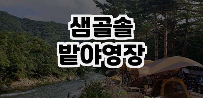 강원도 홍천 힐링 캠핑지, 샘골솔밭야영장 솔직 후기️