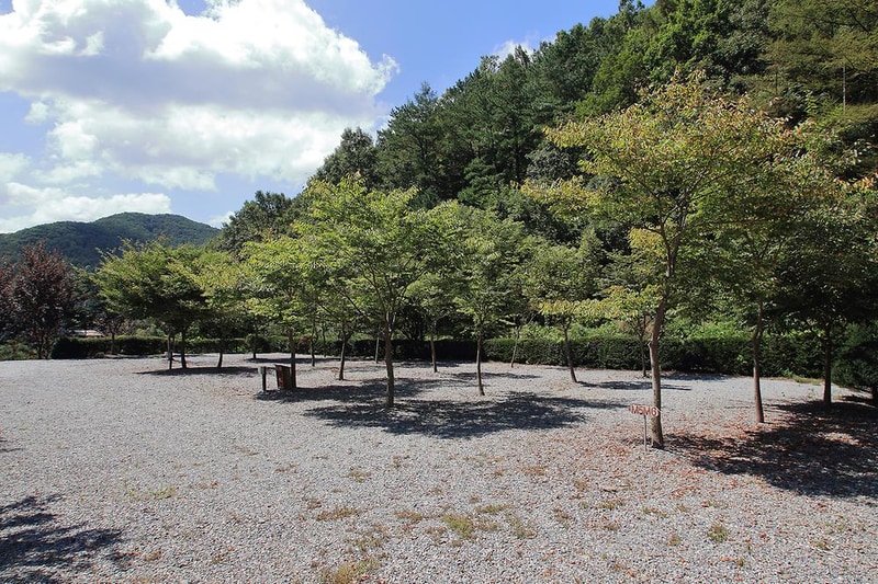 아빠의나무 야영장 시설 사진 17