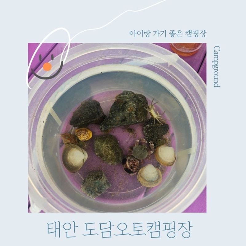 갯벌이 살아있다 태안 가족힐링 도담오토캠핑장
