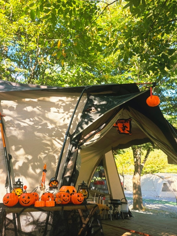 [포천/가을 캠핑] 아이들과 가기 좋은 포천 키즈 캠핑장 캠프원