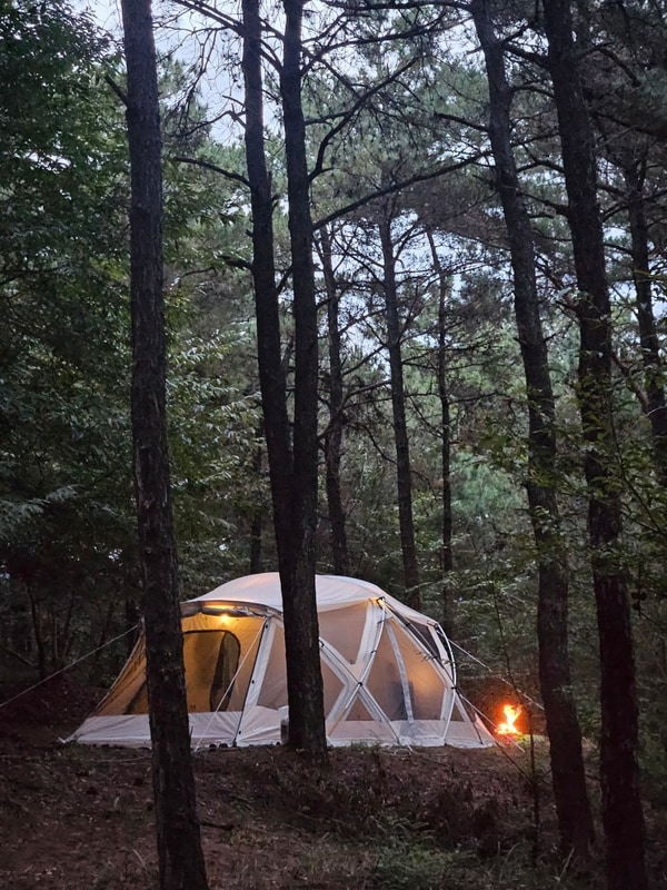 [충남 예산] 숲 속 조용한 쉼, 파인힐캠프(사이트별 정보)