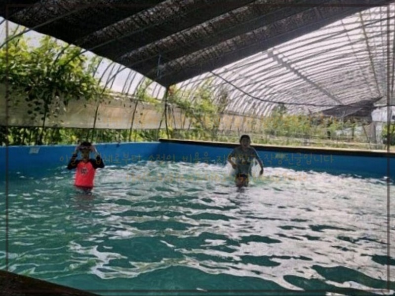 이번 여름에 즐긴 청일관광농원 횡성캠핑장 후기