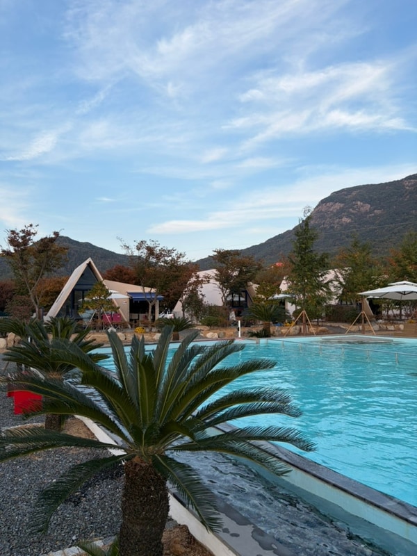 이국적인 분위기의 경북 청도 글램핑 캠프스테이청도 데이트 추천