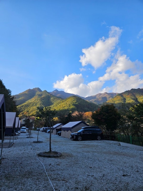 [영월 자연이랑캠프&펜션]법흥계곡 옆 천연자갈 캠핑장