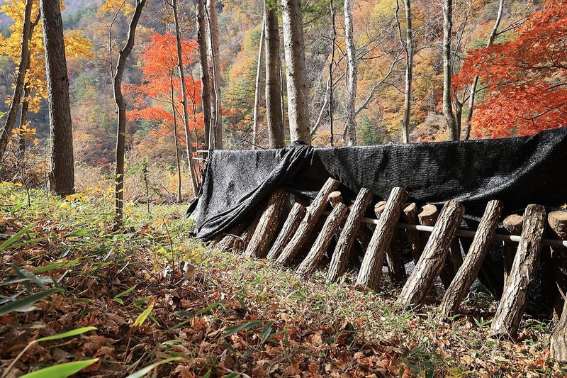 바람부리 별밤 캠핑장 시설 사진 19