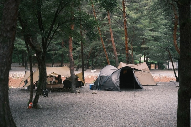 요즘 우리의 데이트는 캠핑하기 | 영월 계곡캠핑, 법흥계곡