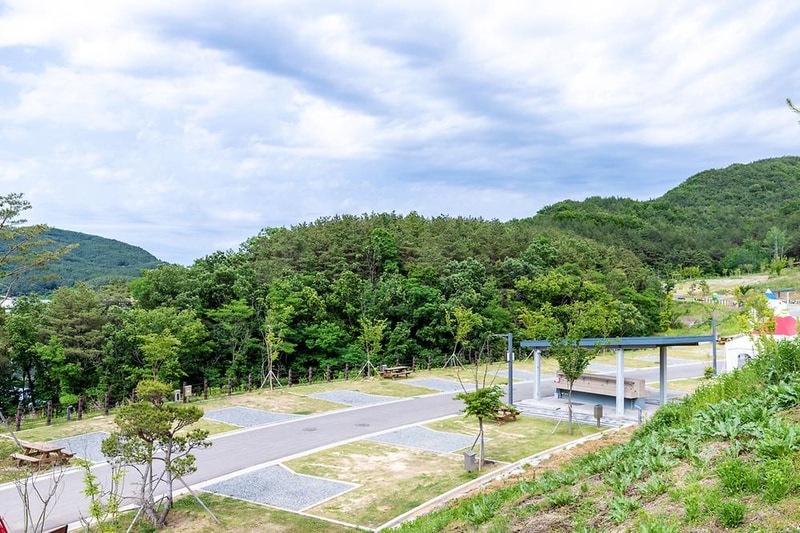 위천수변 테마파크 시설 사진 22