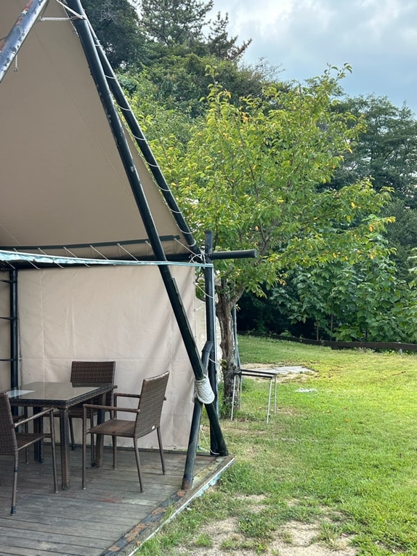 경북포항숙소  수영장 승마장... 뷰맛집  엘포리글램핑