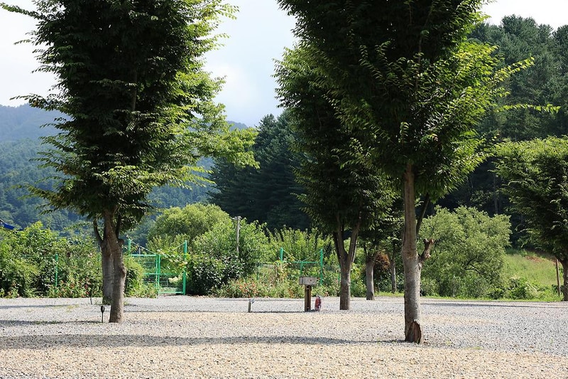 캠프 올모 시설 사진 12