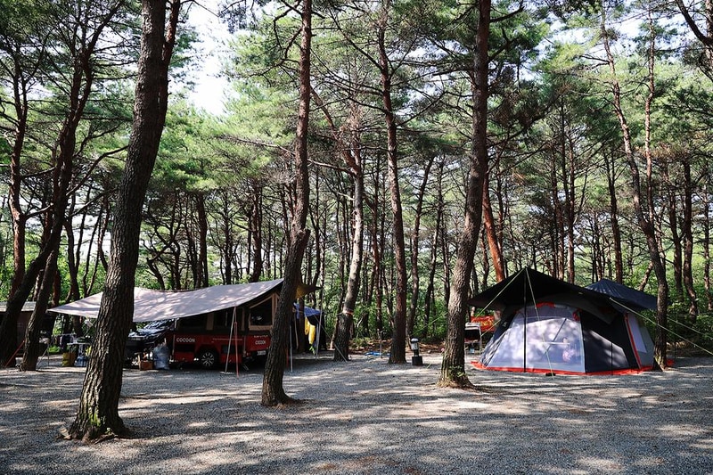 양양 솔바다 캠핑장 시설 사진 11