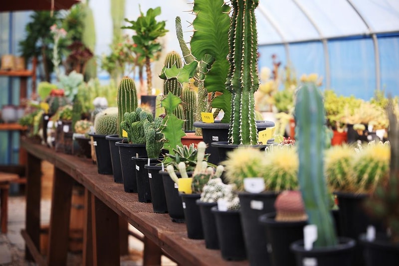 휴가든 카라반 시설 사진 13