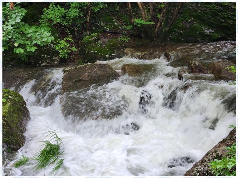 장성캠핑 자연 속 힐링, 정담은 캠핑에서의 특별한 경험